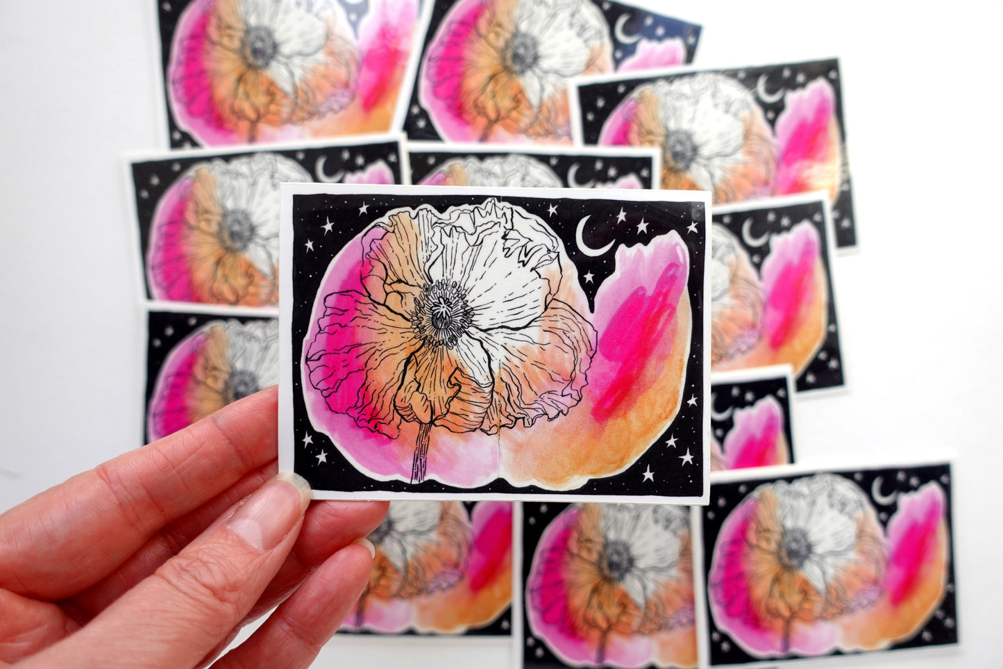 Sticker - Pink Poppy Midnight