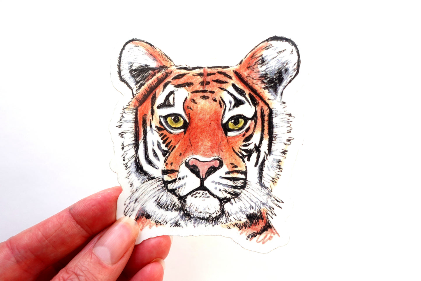Sticker - Tiger