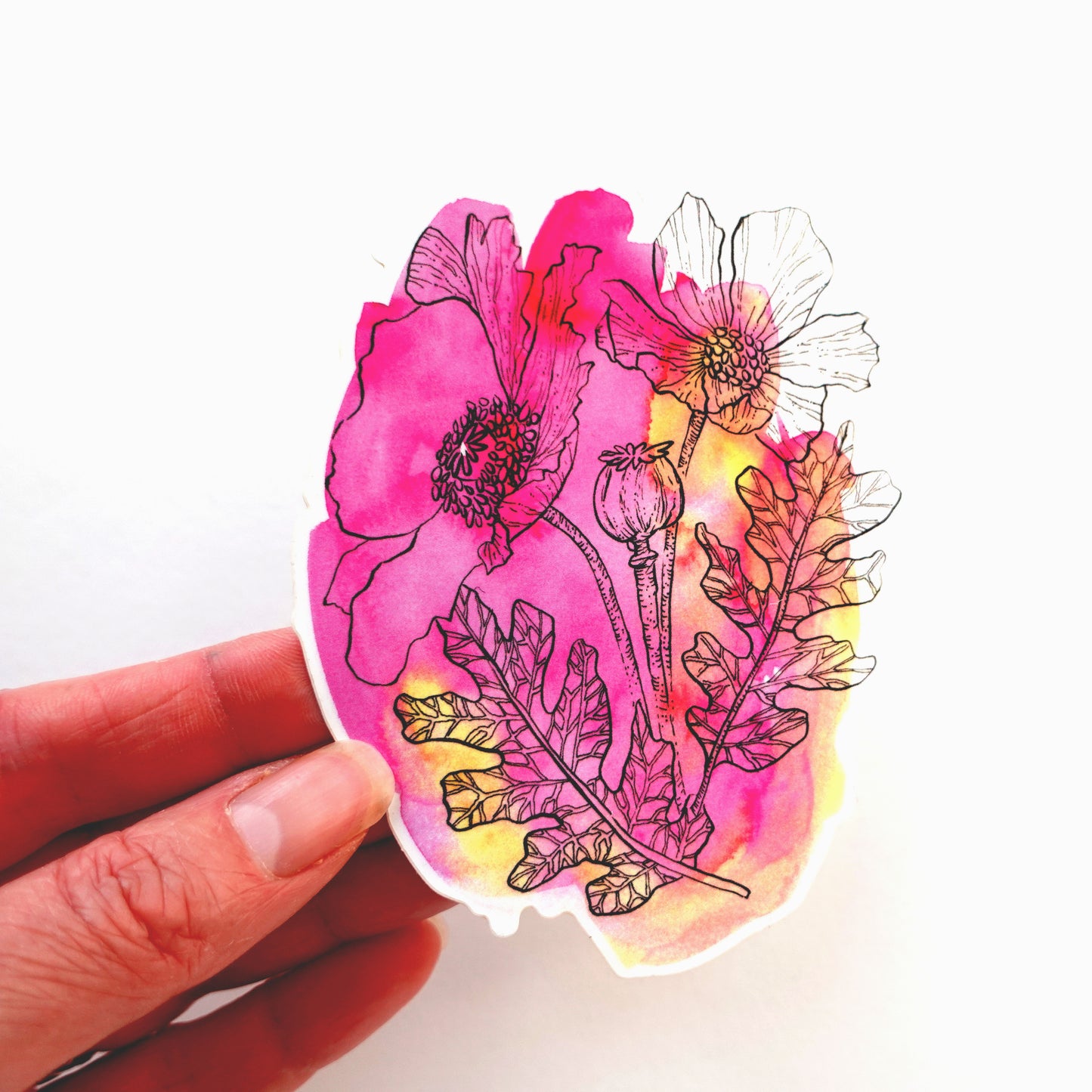 Sticker - Pink Poppy Sketch