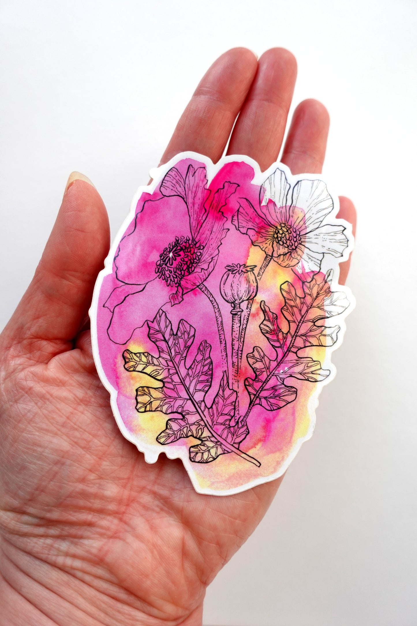 Sticker - Pink Poppy Sketch