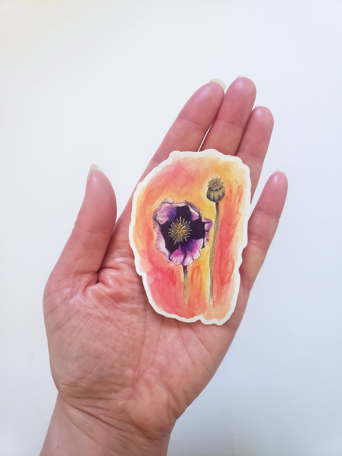 Sticker - Purple Poppy