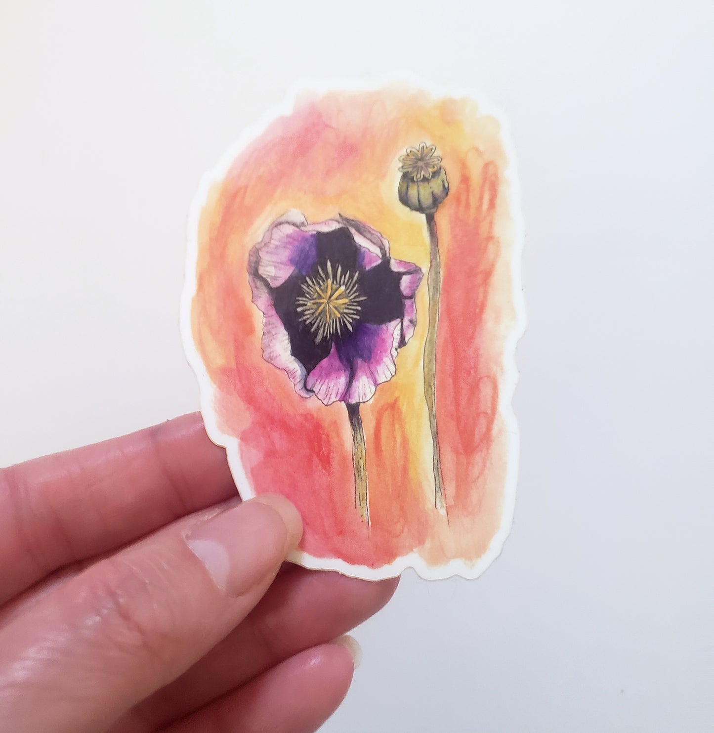 Sticker - Purple Poppy