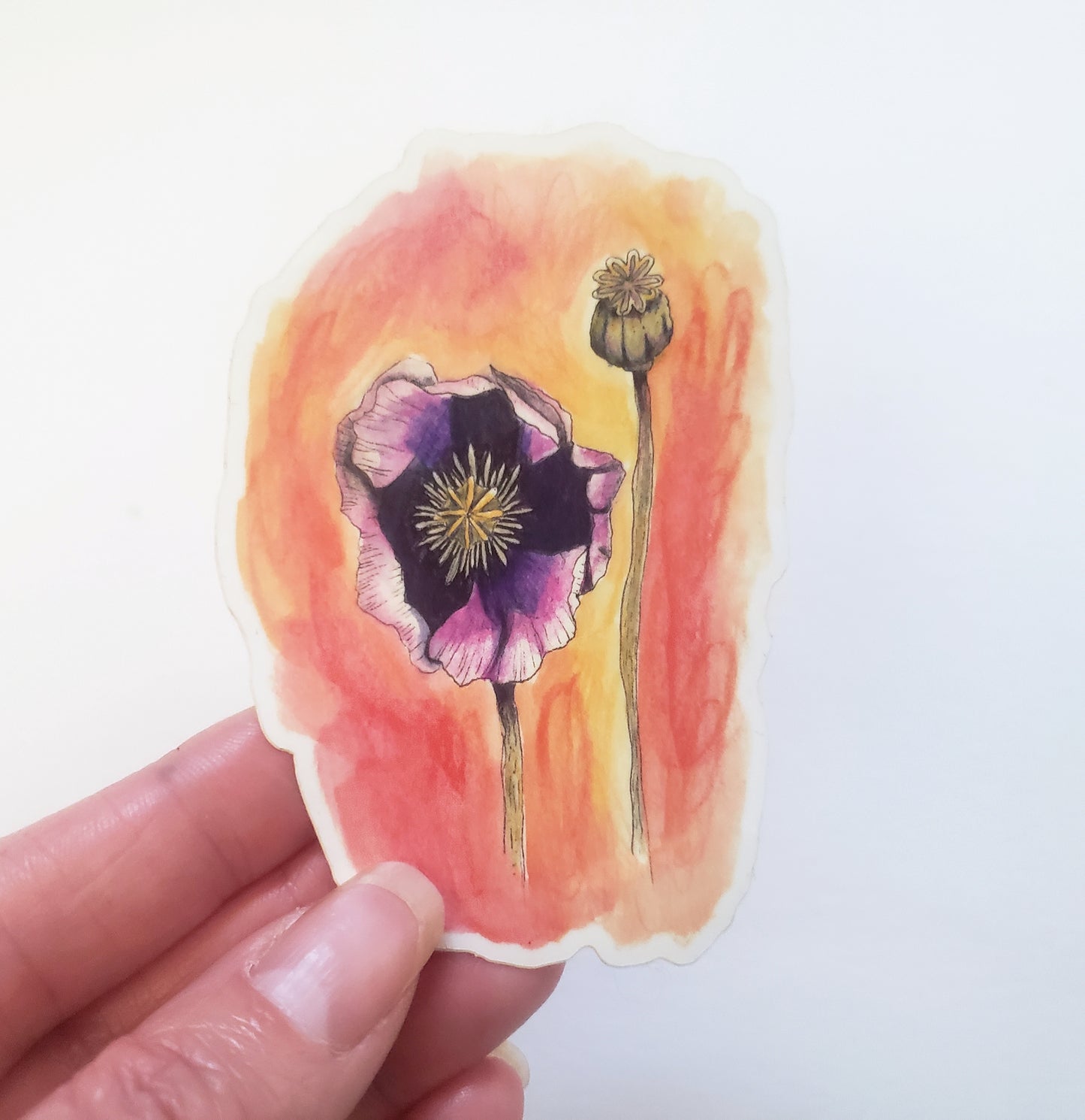 Sticker - Purple Poppy