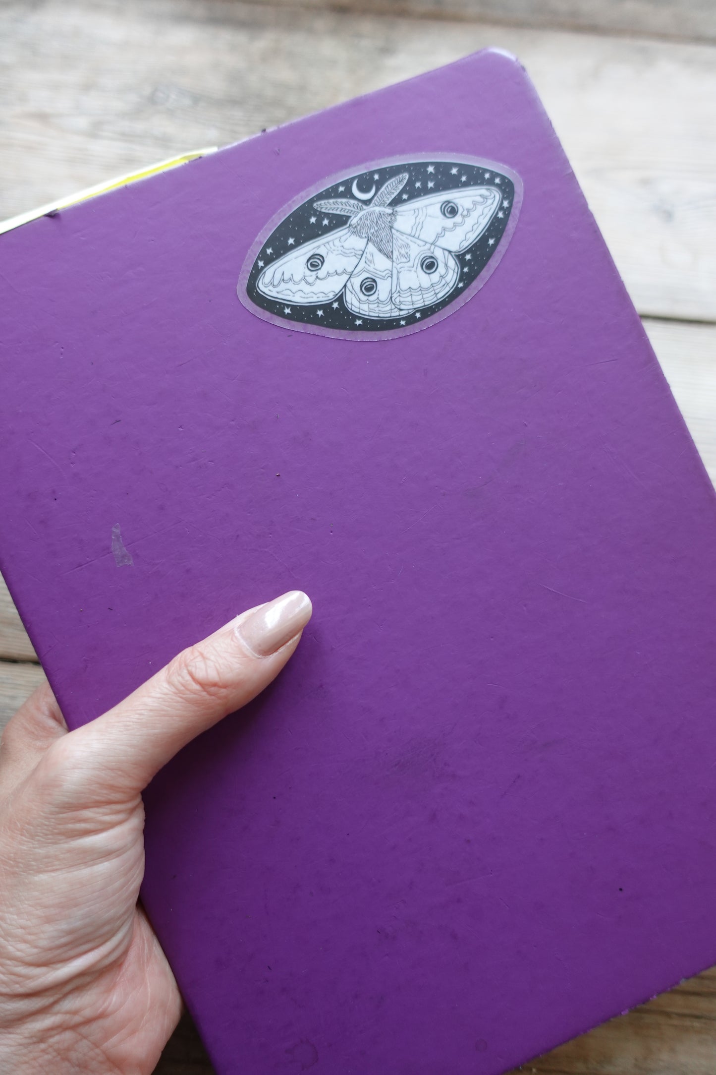 2 Sticker set - Moths