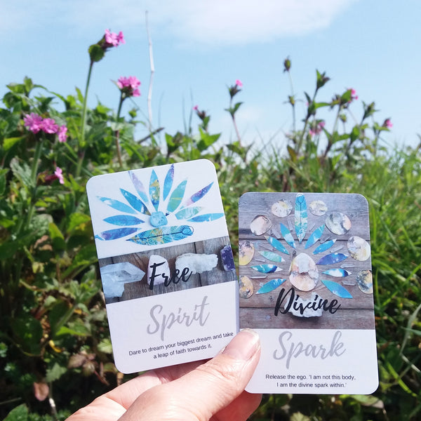 Sacred Wild Oracle (mini deck)